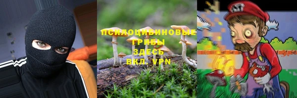 сатива Абаза