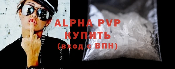 молекула духа Осташков