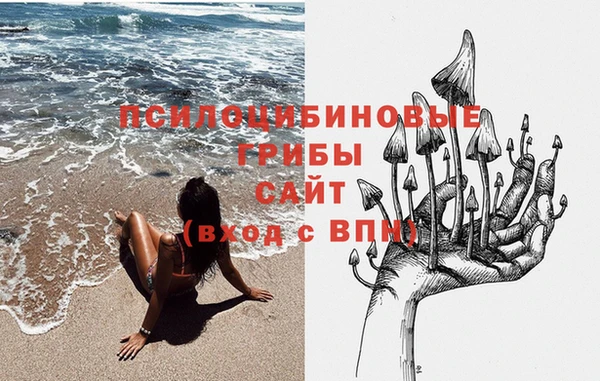 молекула духа Осташков