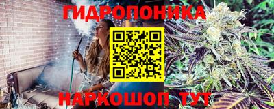 ешки Абакан