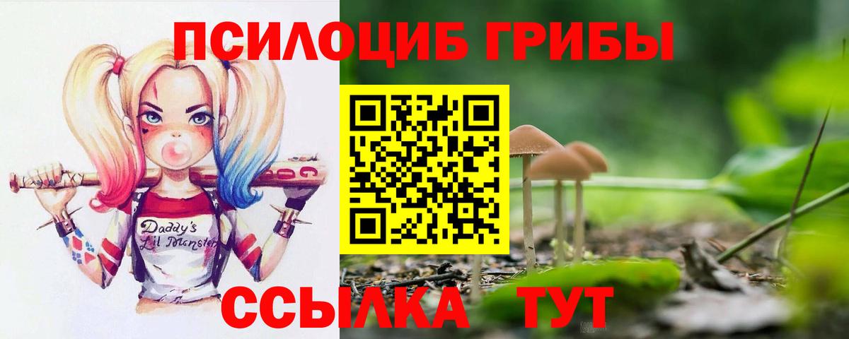 Псилоцибиновые грибы мухоморы  Вход с VPN  Альметьевск 